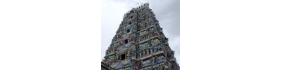 பேளூர்